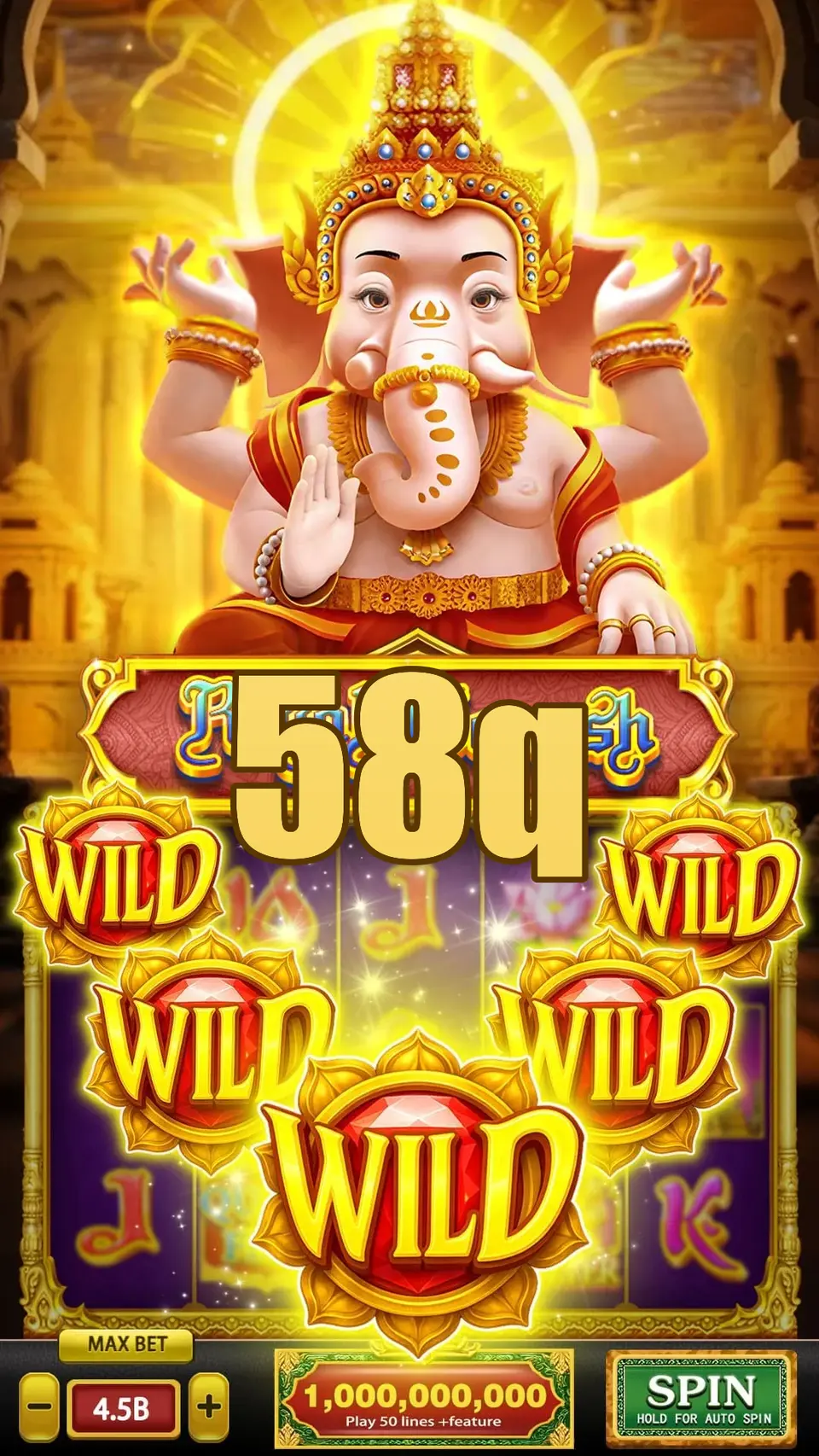 58q Login